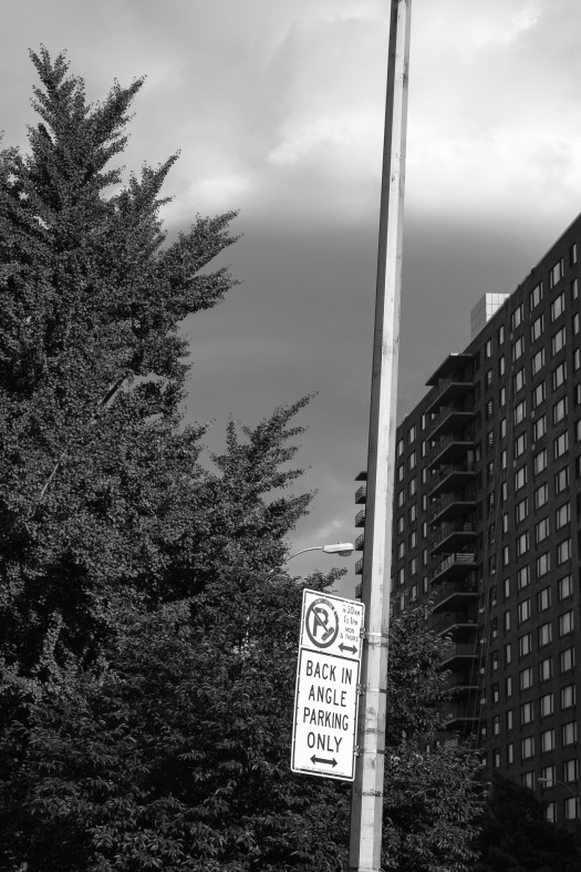 Back In Angle Parking Only